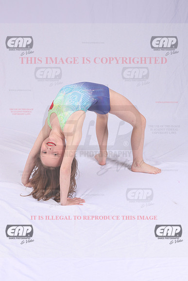 TDFIMG_0810