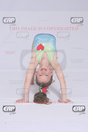TDFIMG_0208