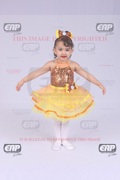 TDFIMG_0826