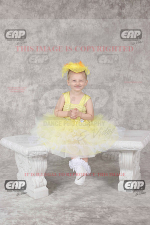EDSIMG_1249