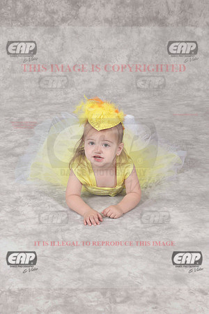 EDSIMG_1270