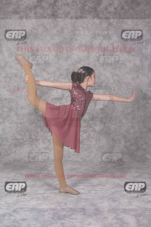 NSDIMG_0962