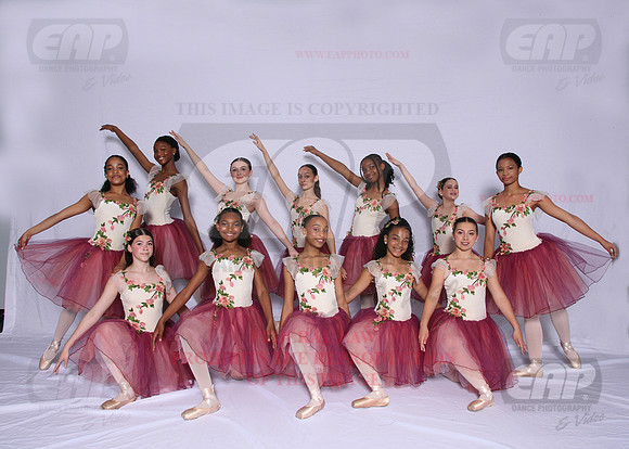 DSD EAP 85