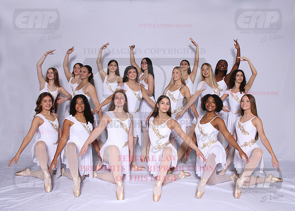 DSD EAP 95