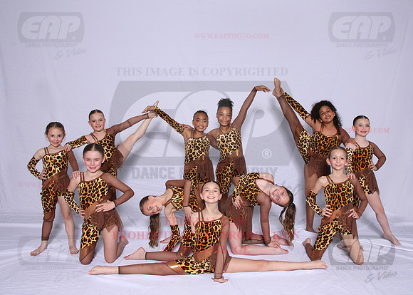 DSD EAP 111