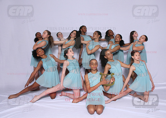 DSD EAP 119