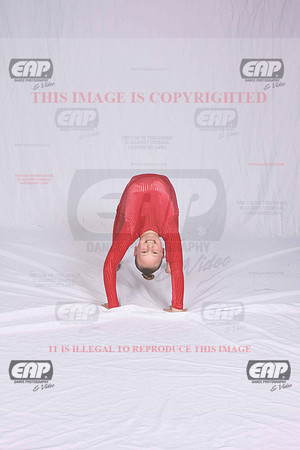 DSDIMG_1432