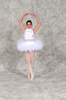 SDEIMG_0513