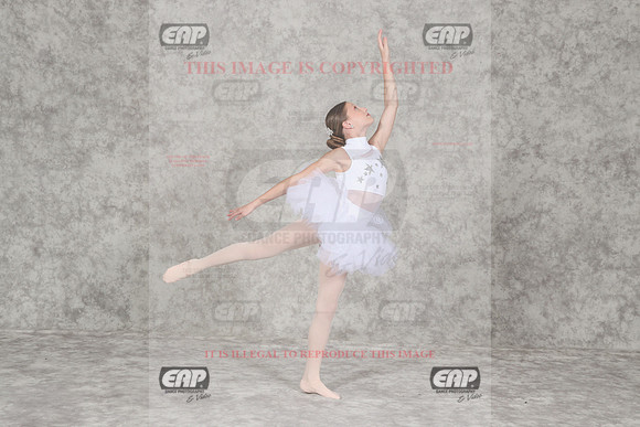 SDEIMG_0516