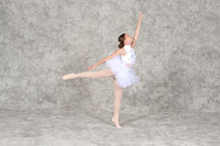 SDEIMG_0517