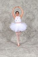 SDEIMG_0521