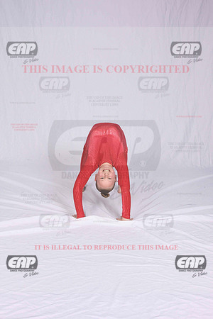 DSDIMG_1431