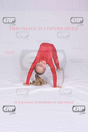 DSDIMG_1440