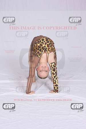 DSDIMG_1854