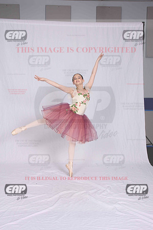 DSDIMG_1517