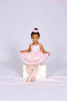 Field_Amira