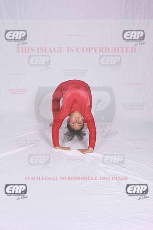 DSDIMG_1445