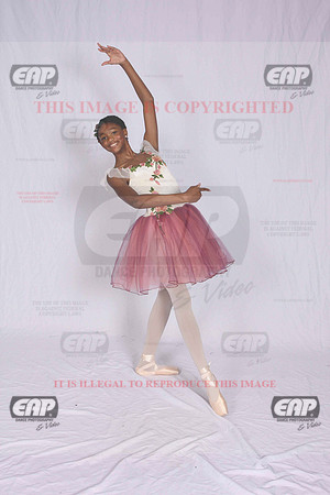 DSDIMG_1519