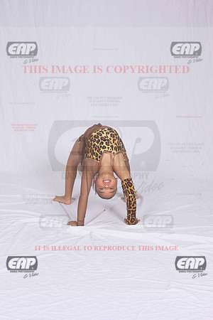 DSDIMG_1858