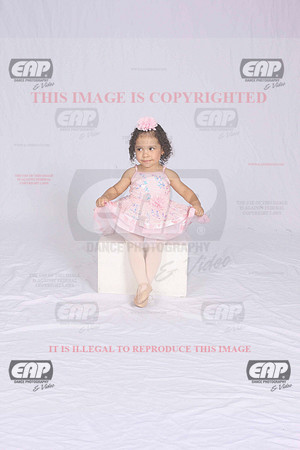 DSDIMG_1799