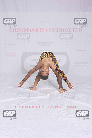 DSDIMG_1872