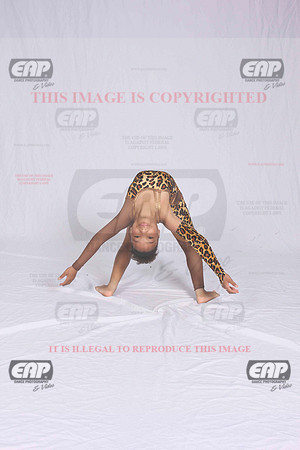 DSDIMG_1873