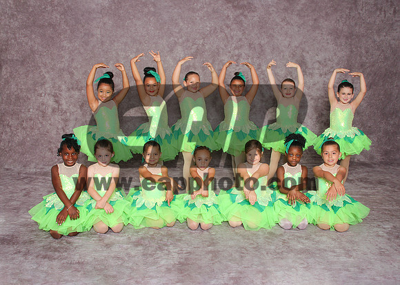 DSD EAP 04