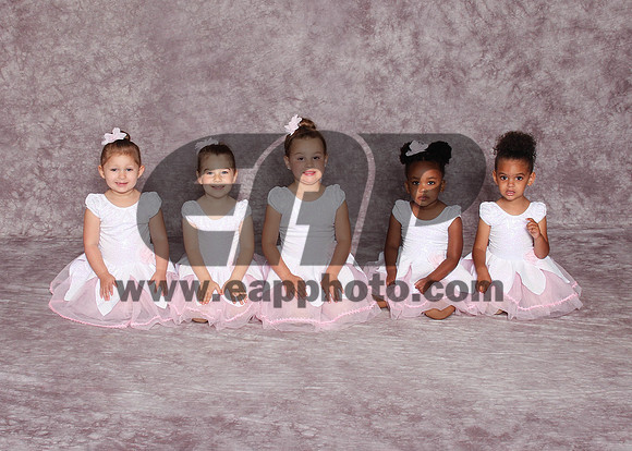 DSD EAP 08