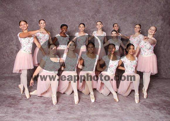 DSD EAP 31