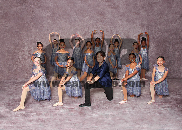 DSD EAP 14