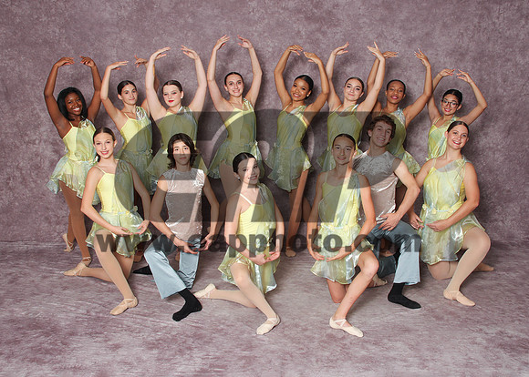 DSD EAP 44