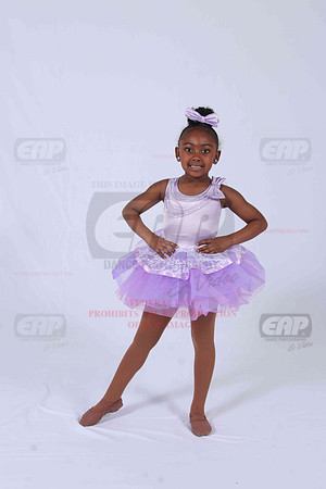 PFDIMG_0521
