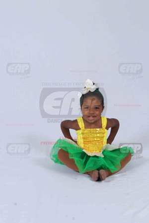 PFDIMG_0529