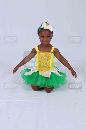 PFDIMG_0539