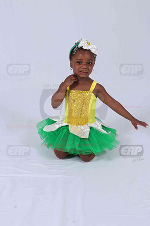 PFDIMG_0541
