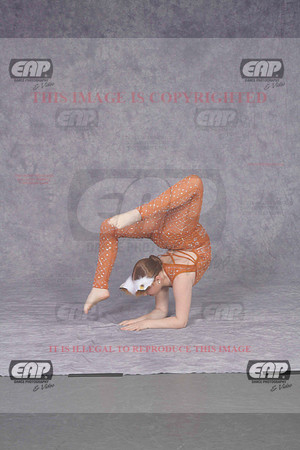 DDDIMG_1270
