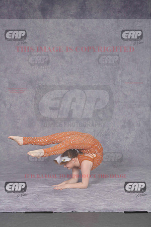 DDDIMG_1271