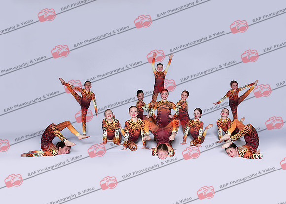 BDS EAP 31