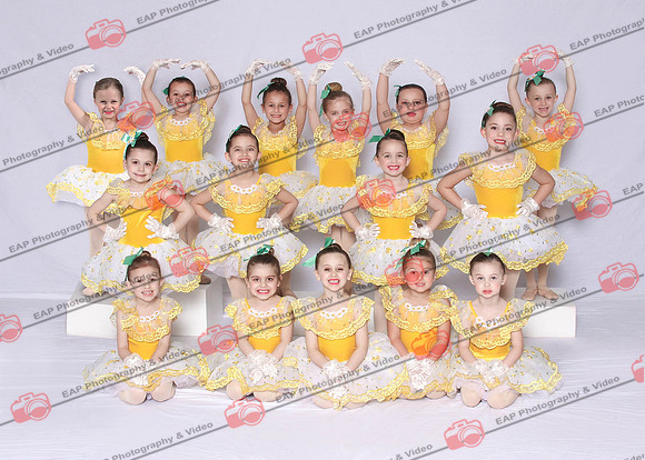 DWK EAP 31