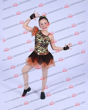 SSDIMG_0249