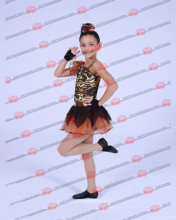 SSDIMG_0259