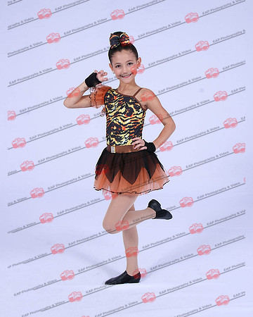 SSDIMG_0261