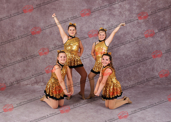 ADS EAP 033