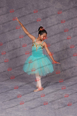PDCIMG_0116