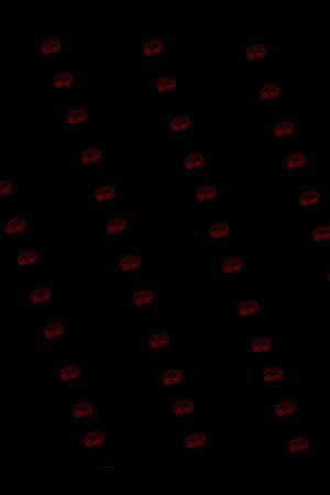 NSDIMG_0099