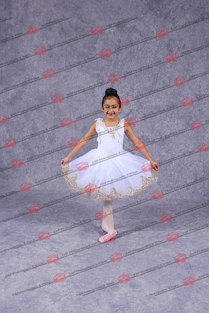 NSDIMG_0233