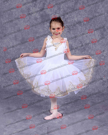 NSDIMG_0239