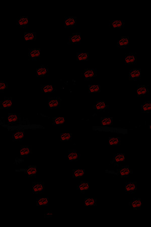NSDIMG_0322