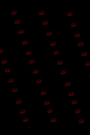 NSDIMG_0375