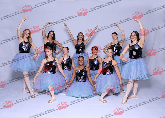 EAP DSD_115